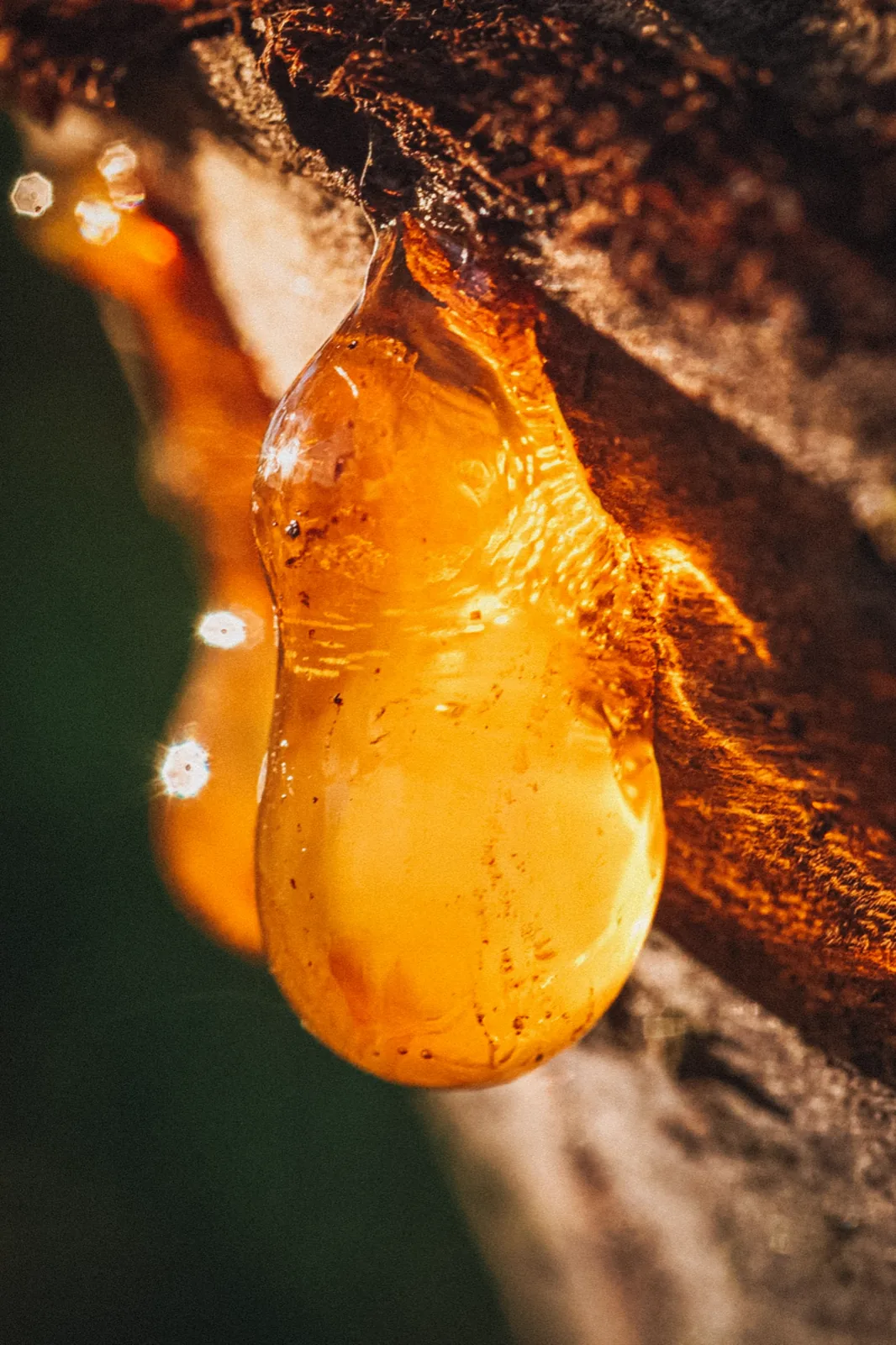 Produzione di fragranze