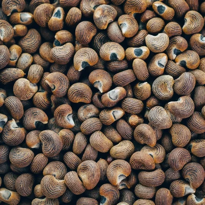 Ambrette seeds