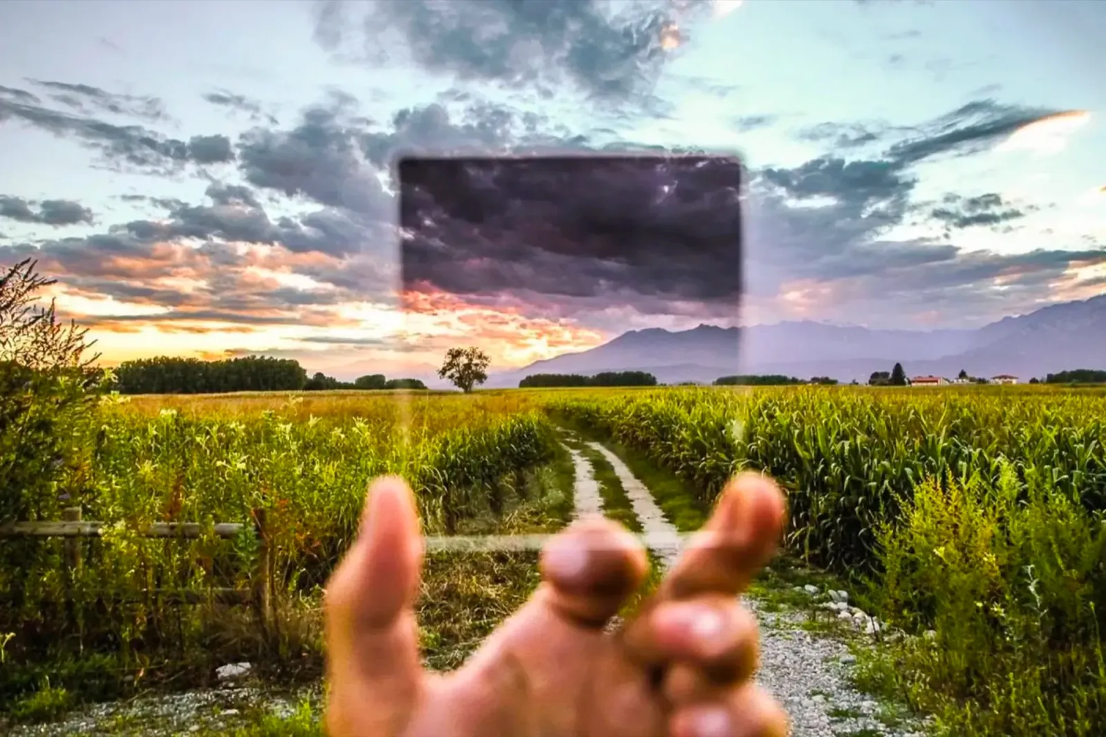 Trasparenza — Specialty Standard